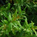 느티나무하우스 이미지