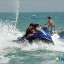 동해-단속-17 이미지