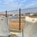 people puppy 이미지