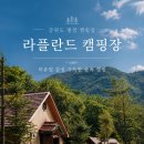평창 운교리 밤나무 | 강원도 평창 캠핑장｜라플란드 캠핑장 A4 후기 북유럽 감성캠핑