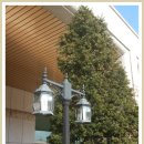 새싹유치원 이미지