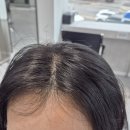 보문역미용실 신설동 머리 잘하는 곳 아워무드헤어 뿌리펌 후기