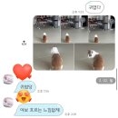 청도자연병원 | 38주 4일 제왕절개 출산 후기_대구 더블유여성 병원 (1탄)