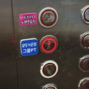 모두의운동그룹PT | [그룹PT] 모두의운동 그룹PT 동탄점 동탄크로스핏 고민하다 다녀온 모두의운동 그룹PT 솔직 후기