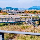 신성리생태공원 이미지