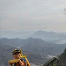 예스공인중개사사무소 이미지