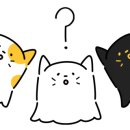 신성손칼국수 - 원주시 진광길 23-2 | 신성손칼국수