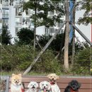 디엠아이 이미지