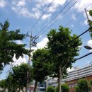 본도시락 하남미사점 이미지