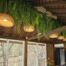 아나힐즈 이미지