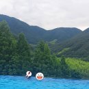 비바체리조트 이미지