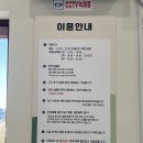 공주애견