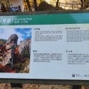 시루봉여관 이미지