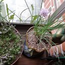 들길농장 이미지