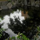 자유극장 이미지