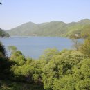 서짓골(2013년) 이미지