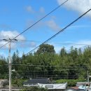 꽃냥이네 촌집 이미지