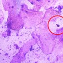 동천 동물병원 이미지