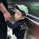 시우카센타 이미지