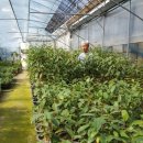 재천농장 이미지