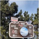 빨간다리 이미지