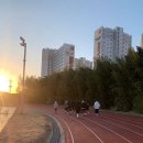 크로스핏 제우스 이미지