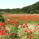 악양생태공원 이미지