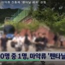 청소년 10명 중 1명, 마약류 진통제 &#39;펜타닐 패치&#39; 경험 이미지