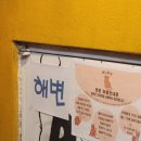 바다가 보이는 대부도 애견동반 카페, 허니비치