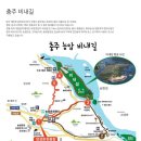 [558차] 3월10일(일) 충주 비내길 (진짜 산행계획) 이미지