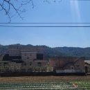 용화보건지소 이미지