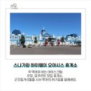 EG투어버스 J코스 | [일본 여행] 삿포로 근교 당일치기, 3월 비에이 버스투어 알아보기