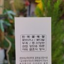 천사꽃집 이미지