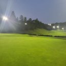 이쁜골프 | 부여 골프샵 여성 중고 테일러메이드 스텔스 글로리 이쁜 아이언세트 득템후기