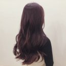 썬미용실 - 아산시 방축로 55 | 썬미용실