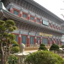 동명불원 이미지