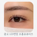 광교약국 | 광교속눈썹 맛집 수원 프롬유뷰띠끄 LED 속눈썹연장 만족스런 후기