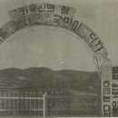 자천초등학교 Daum카페