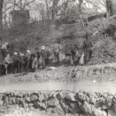 오리초등학교 이미지