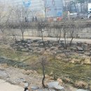 새터민행정사 이미지