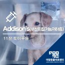 아람동물병원 이미지