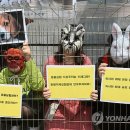 박지호 동물병원 이미지