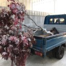 무주읍227 이미지