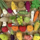 (주)보담 외 1 | 어글리어스 마켓 내돈내산 후기: 못생긴 제철 채소, 과일 정기배송 서비스