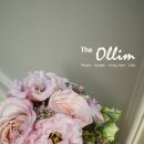 올림(ollim)