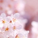 네일 트렌드 따라잡기 이미지