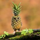 대화정비공장 | 목요일의 직장인은 어떻게 살아갈까