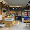 아이러브 애견 이미지