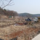 불은면-8 이미지