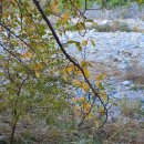 백무동파크 펜션 이미지